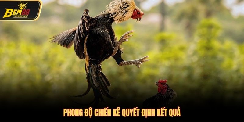Phong độ chiến kê quyết định kết quả trận đấu