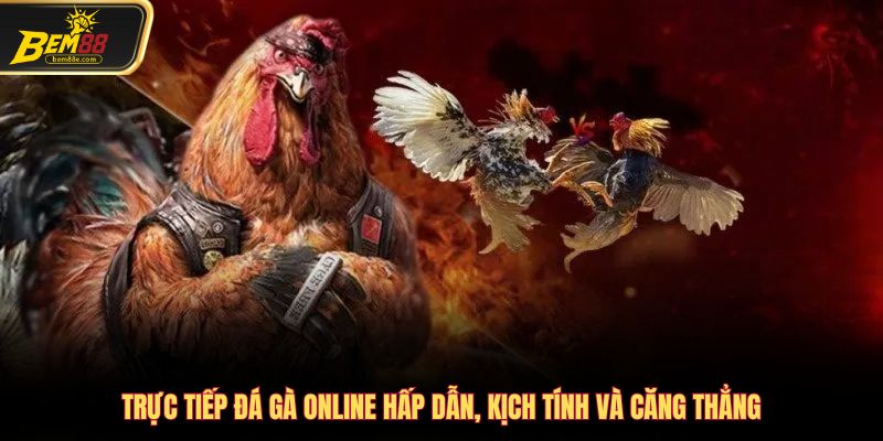 Trực tiếp đá gà online
