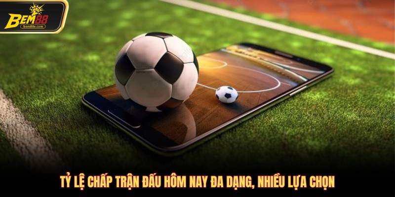 Tỷ lệ chấp trận đấu hôm nay đa dạng, nhiều lựa chọn